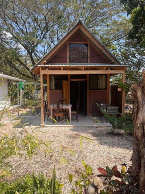 Nosara Hemp House